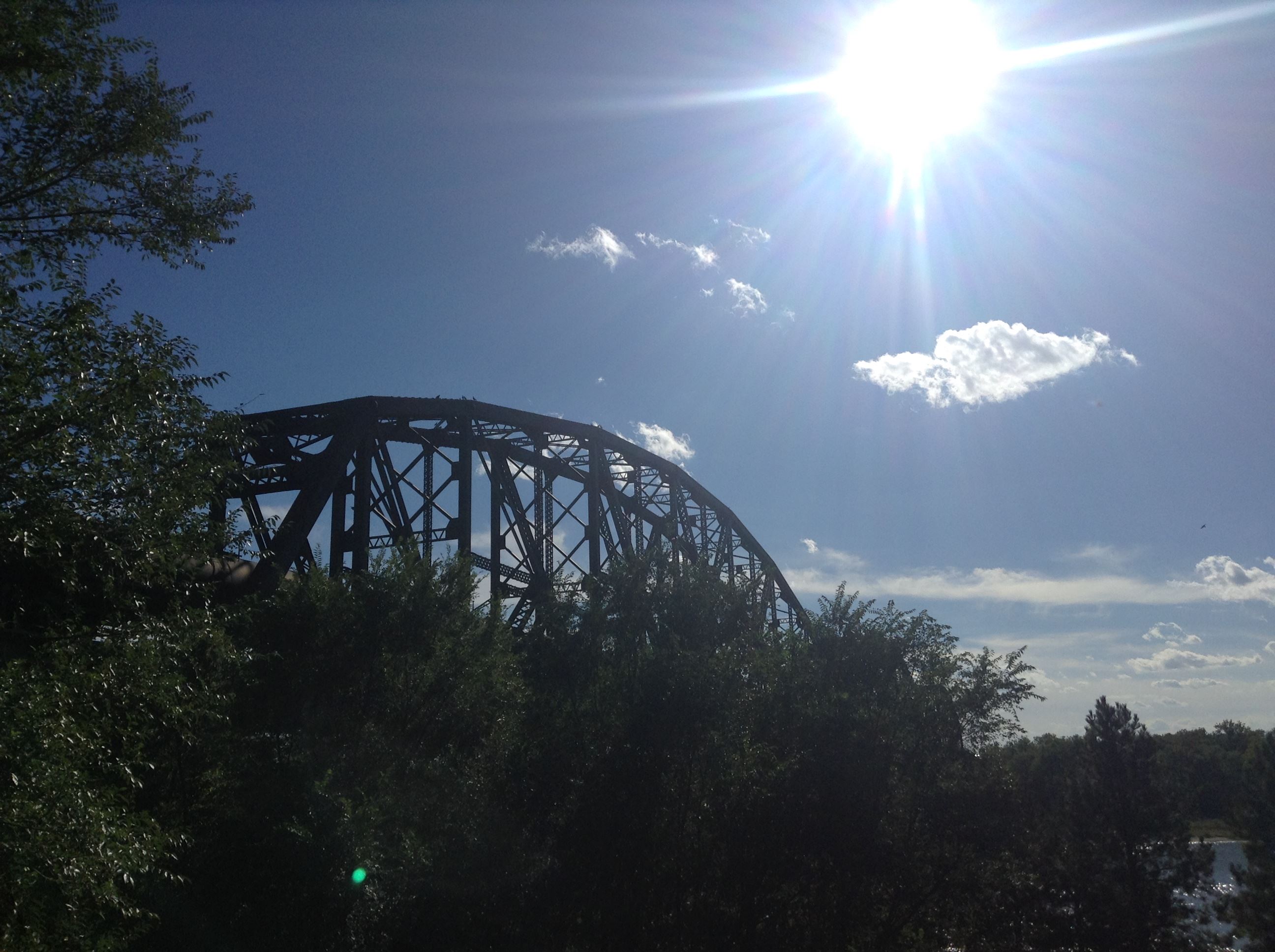 Rail Bridge through the trees