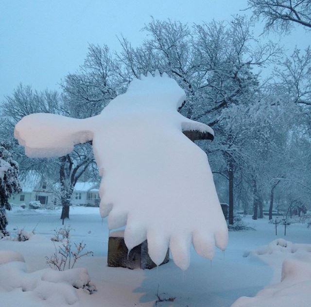 The Eagle - Photo Credit - Josie Blaine