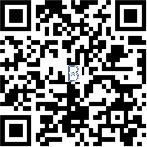 Better Bismarck QR Code